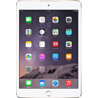 iPad Mini 3