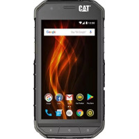 CAT S31