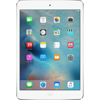 iPad mini 2