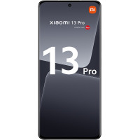 13 Pro