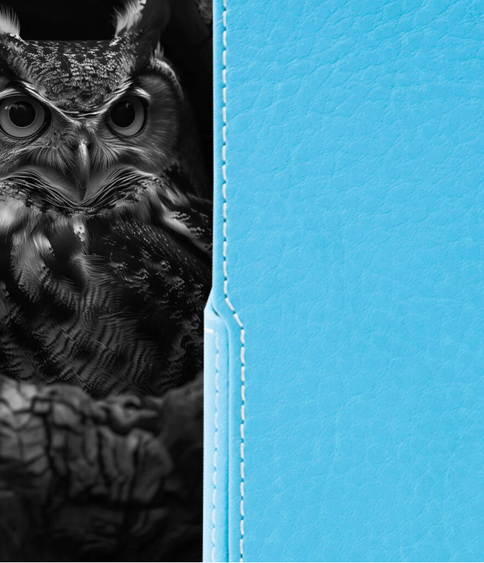 Чохол-флип з екошкіри для телефону Ulefone Armor X31 Pro