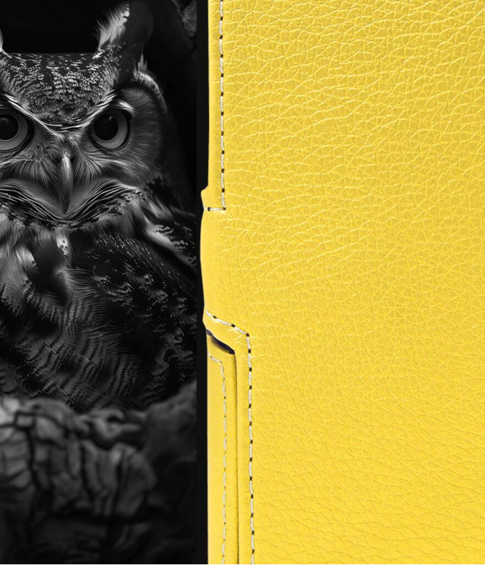 Чохол-книжка з екошкіри для телефону Ulefone Armor X31 Pro