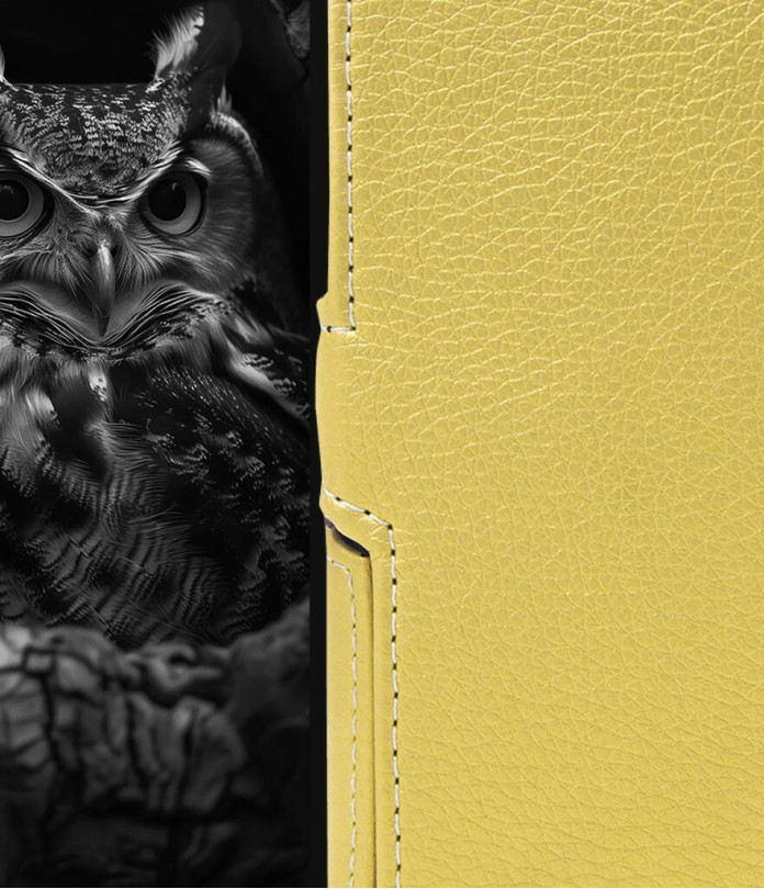 Чохол-книжка з екошкіри для телефону Ulefone Armor X31 Pro